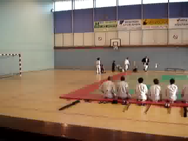 Voir la photo stage aikido bordeaux 3